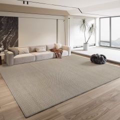 地毯客厅纯色侘寂2024新款轻奢高级免洗可擦防水简约茶几 家用地垫